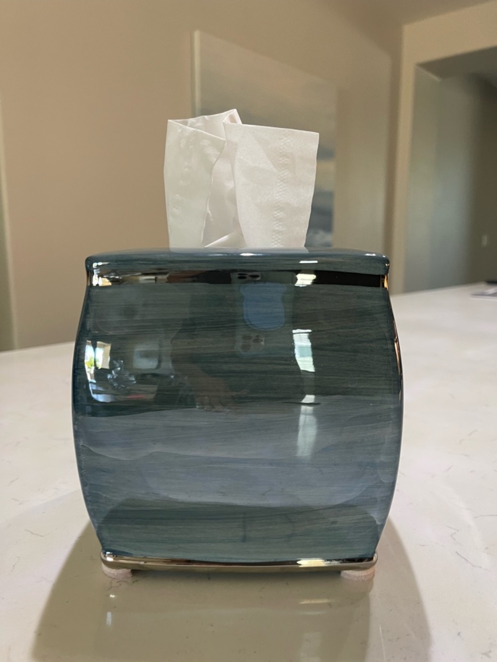 Nicole Miller New York Oasis Ceramic Tissue Box Cover - Like New